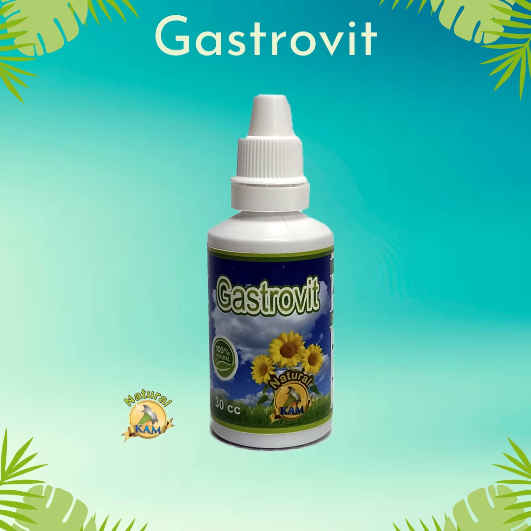 gastriti
