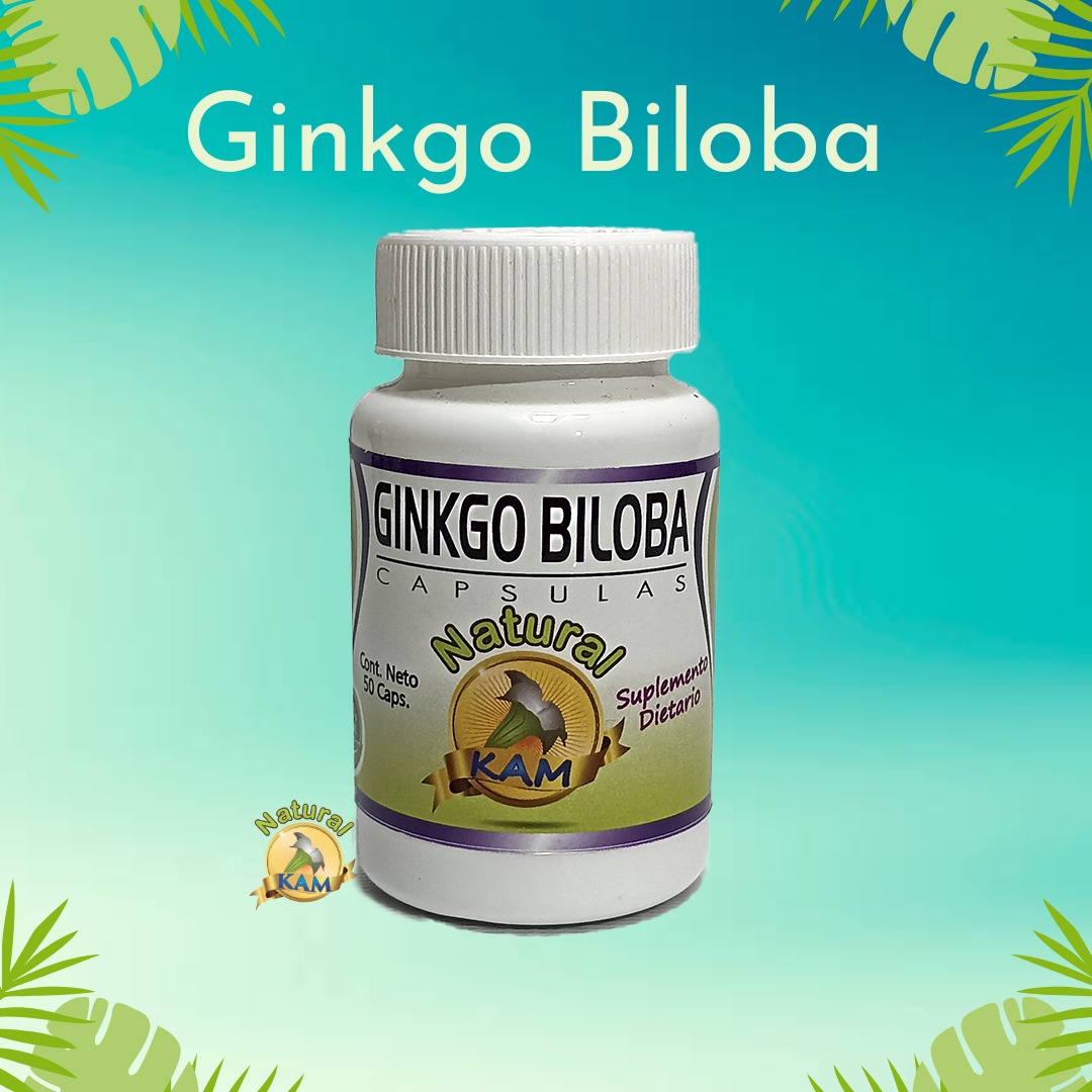 ginkgo biloba